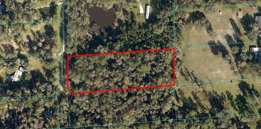 Land in Reddick, Florida № 1357568