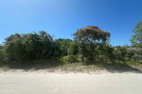 Terreno en venta en Hobe Sound, Florida № 1225717 - foto 3