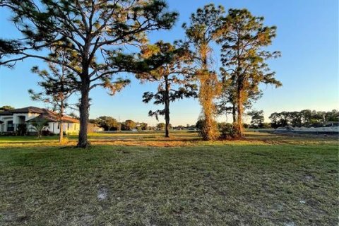 Terrain à vendre à Rotonda, Floride № 308724 - photo 2