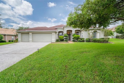 Villa ou maison à vendre à Dade City, Floride: 4 chambres, 318.1 m2 № 1344069 - photo 2