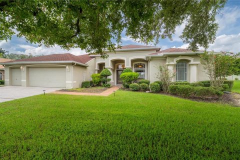 Villa ou maison à vendre à Dade City, Floride: 4 chambres, 318.1 m2 № 1344069 - photo 1