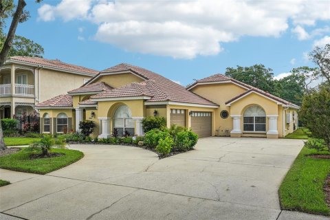 Villa ou maison à vendre à Tampa, Floride: 4 chambres, 225.57 m2 № 1343152 - photo 1