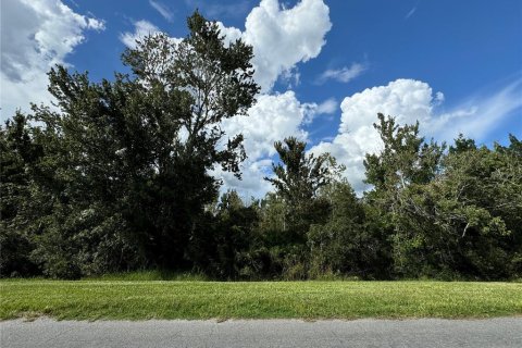 Land in Orlando, Florida № 1355782 - photo 1