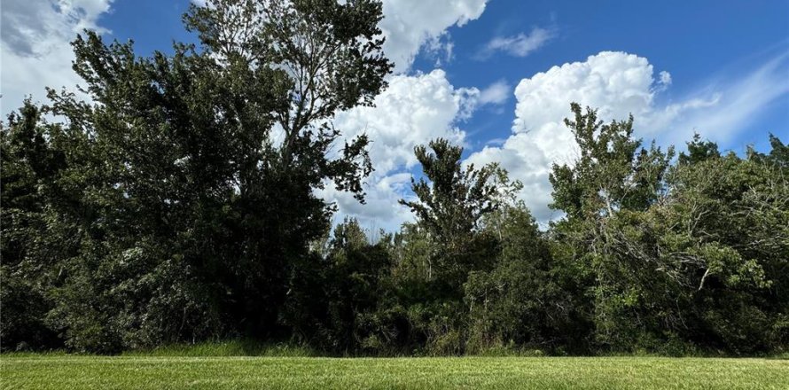 Terrain à Orlando, Floride № 1355782