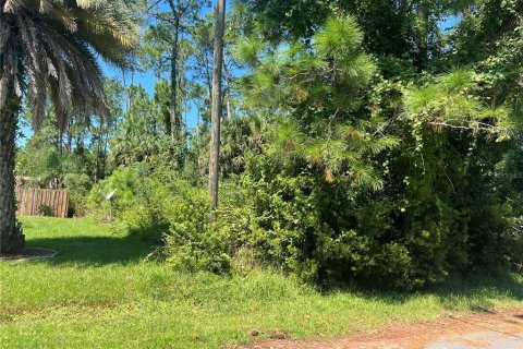 Terreno en venta en Palm Coast, Florida № 1376807 - foto 11