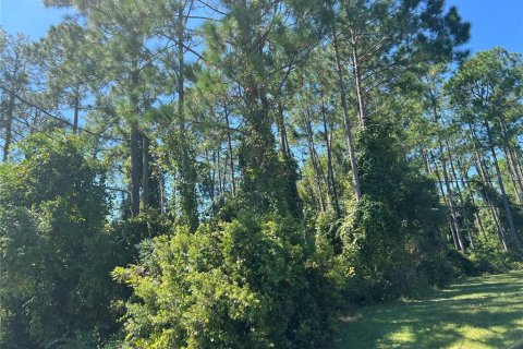 Land in Palm Coast, Florida № 1376807 - photo 1