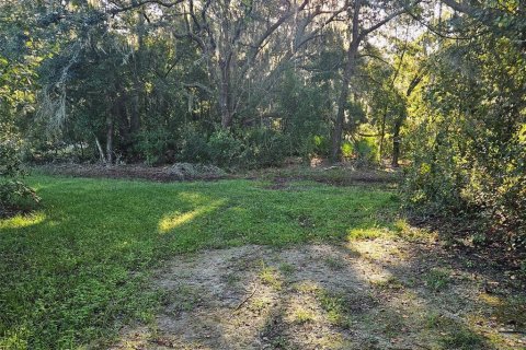 Terreno en venta en Plant City, Florida № 1376735 - foto 5