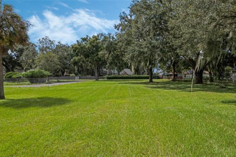 Terreno en venta en Winter Garden, Florida № 1405570 - foto 2