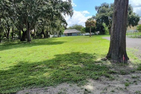 Terreno en venta en Winter Garden, Florida № 1405570 - foto 7