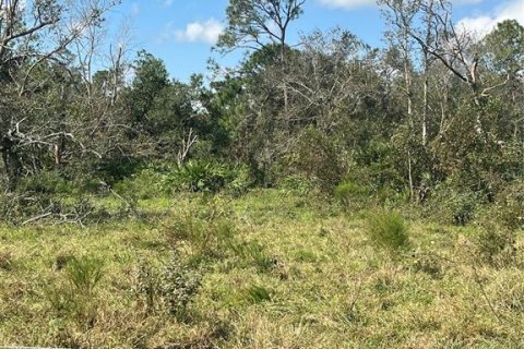 Terreno en venta en Myakka City, Florida № 1405569 - foto 5