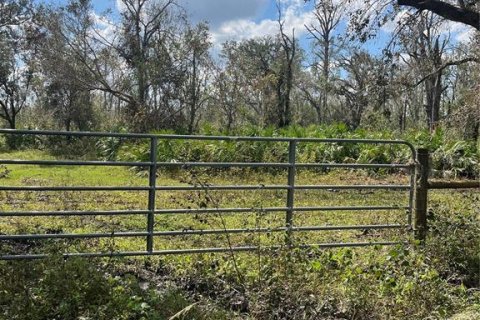 Terreno en venta en Myakka City, Florida № 1405569 - foto 1