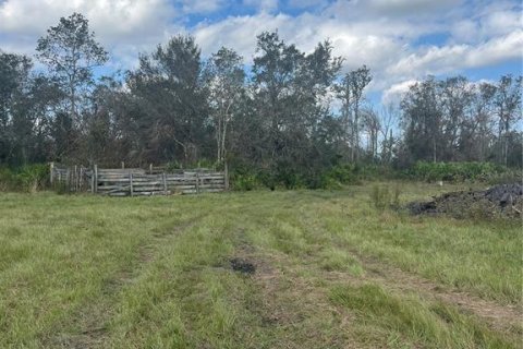 Terreno en venta en Myakka City, Florida № 1405569 - foto 2