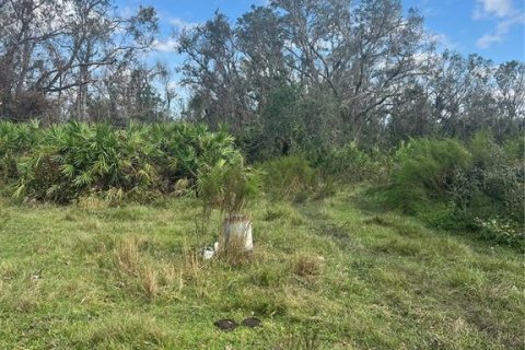 Terreno en venta en Myakka City, Florida № 1405569 - foto 3