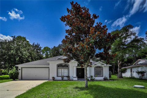 Villa ou maison à vendre à Palm Coast, Floride: 3 chambres, 178.09 m2 № 1346222 - photo 1