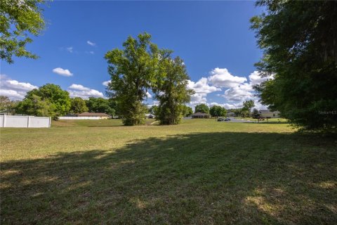 Terrain à vendre à Ocala, Floride № 1082741 - photo 3