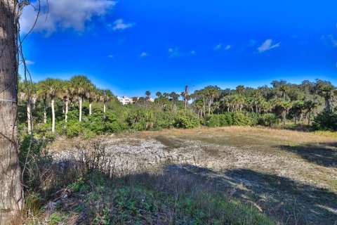 Terrain à vendre à Palm Coast, Floride № 312959 - photo 6