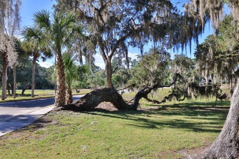 Купить земельный участок в Палм-Кост, Флорида № 312959 - фото 12