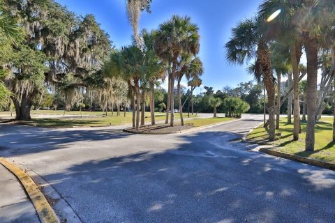 Купить земельный участок в Палм-Кост, Флорида № 312959 - фото 8