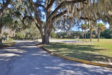 Купить земельный участок в Палм-Кост, Флорида № 312959 - фото 9