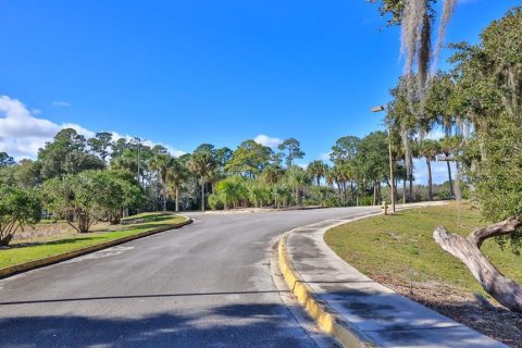 Купить земельный участок в Палм-Кост, Флорида № 312959 - фото 13