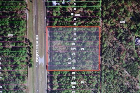 Terreno en venta en Homosassa, Florida № 1399565 - foto 6