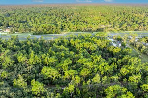 Terreno en venta en Homosassa, Florida № 1399565 - foto 5