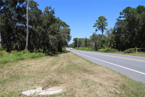 Land in Melrose, Florida № 1377770 - photo 2