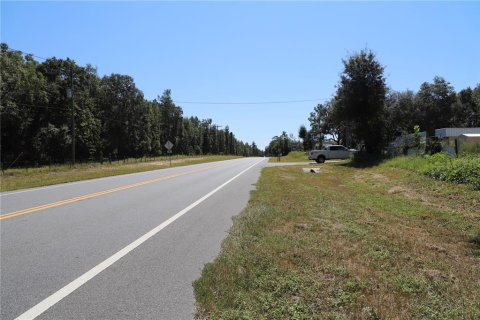 Land in Melrose, Florida № 1377770 - photo 6