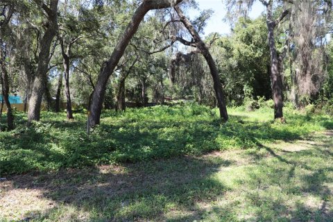 Land in Melrose, Florida № 1377770 - photo 4