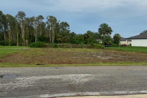 Land in Fort Myers, Florida № 689598 - photo 2