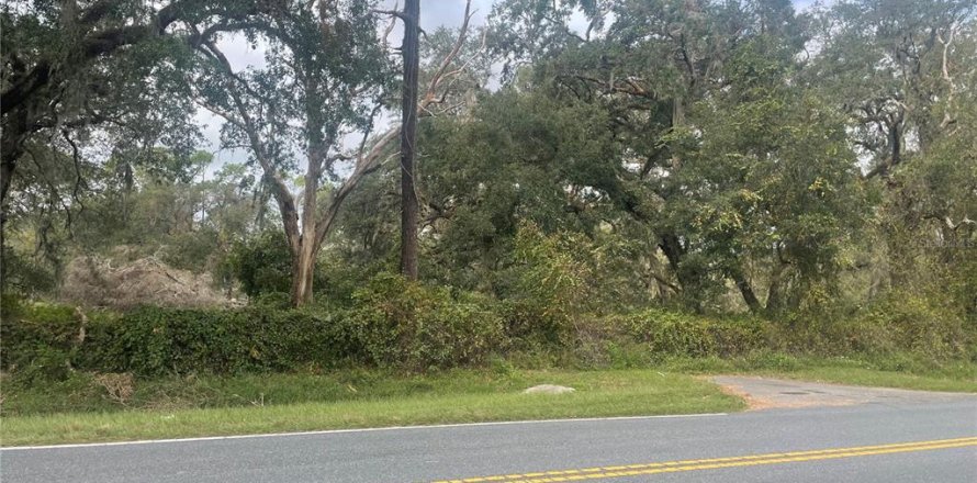 Terreno en Bushnell, Florida № 1420470