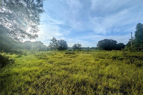 Land in Archer, Florida № 1359174 - photo 1