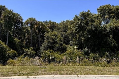 Terreno en venta en Edgewater, Florida № 1212531 - foto 1