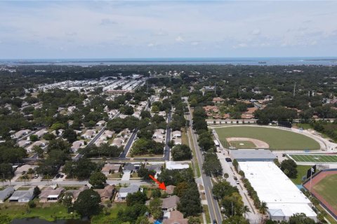 Villa ou maison à vendre à Dunedin, Floride: 2 chambres, 94.57 m2 № 1347046 - photo 4