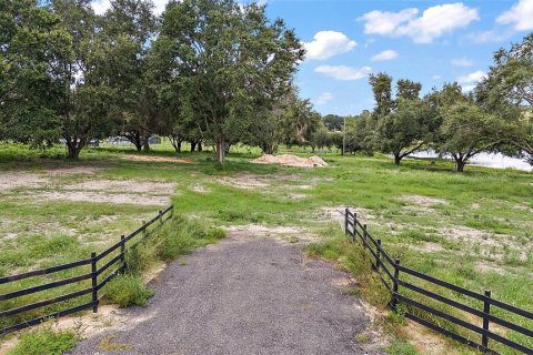 Land in Groveland, Florida № 1354284 - photo 12