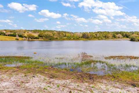 Land in Groveland, Florida № 1354284 - photo 10