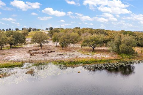 Land in Groveland, Florida № 1354284 - photo 9