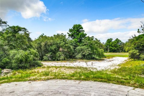 Land in Poinciana, Florida № 1318034 - photo 10