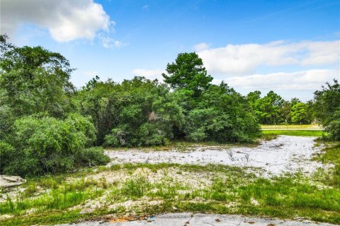 Terreno en venta en Poinciana, Florida № 1318034 - foto 11