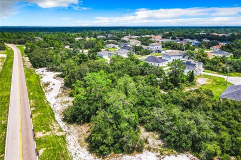 Land in Poinciana, Florida № 1318034 - photo 20