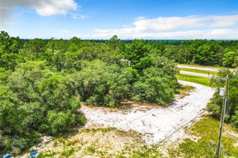 Terreno en venta en Poinciana, Florida № 1318034 - foto 13