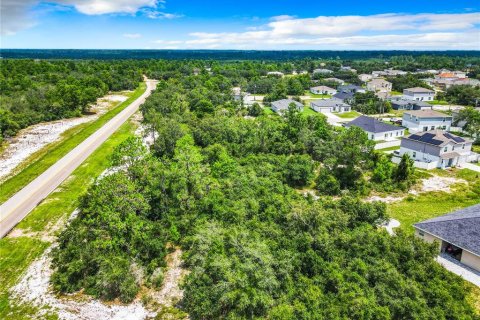 Land in Poinciana, Florida № 1318034 - photo 19