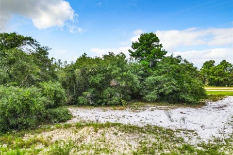 Terreno en venta en Poinciana, Florida № 1318034 - foto 12