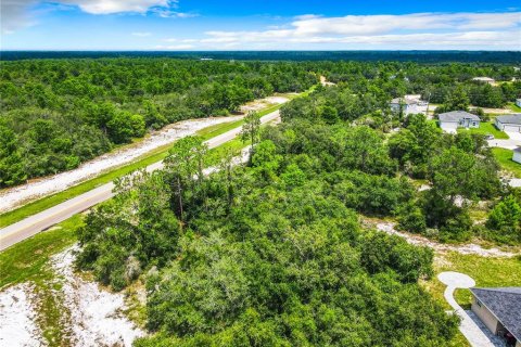 Land in Poinciana, Florida № 1318034 - photo 18