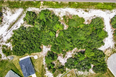 Land in Poinciana, Florida № 1318034 - photo 30