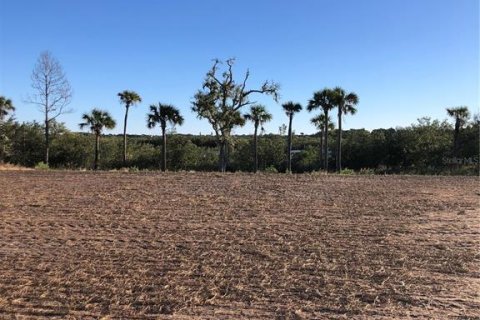 Land in Flagler Beach, Florida № 1341037 - photo 8