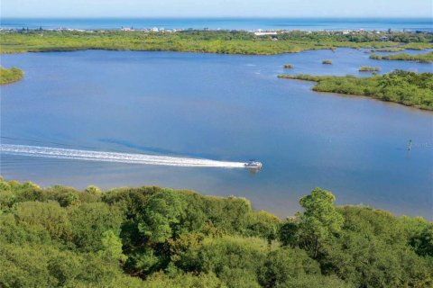 Terreno en venta en Flagler Beach, Florida № 1341037 - foto 6