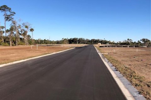 Land in Flagler Beach, Florida № 1341037 - photo 10