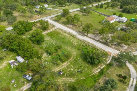 Land in Brooksville, Florida № 1314798 - photo 10