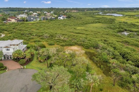 Terreno en venta en Saint Augustine, Florida № 836798 - foto 8